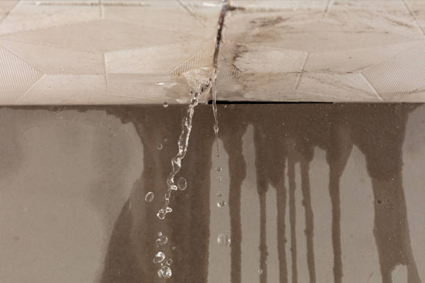 Professional Structural Drying technician working in Immaculata, PA